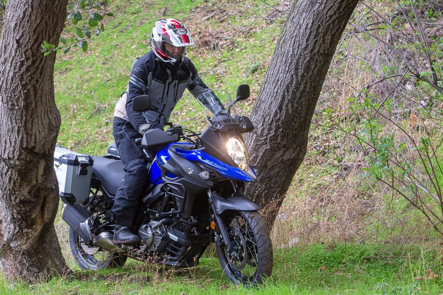 Suzuki DL650